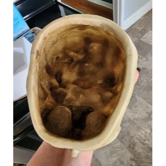 New Skull Planter Candy Bowl Resin Skull Shaped Flower Pot for Home Office - Picture 2 of 2